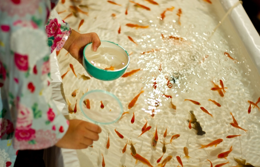 夏を彩る 最強の花火ソング ランキング シダックス